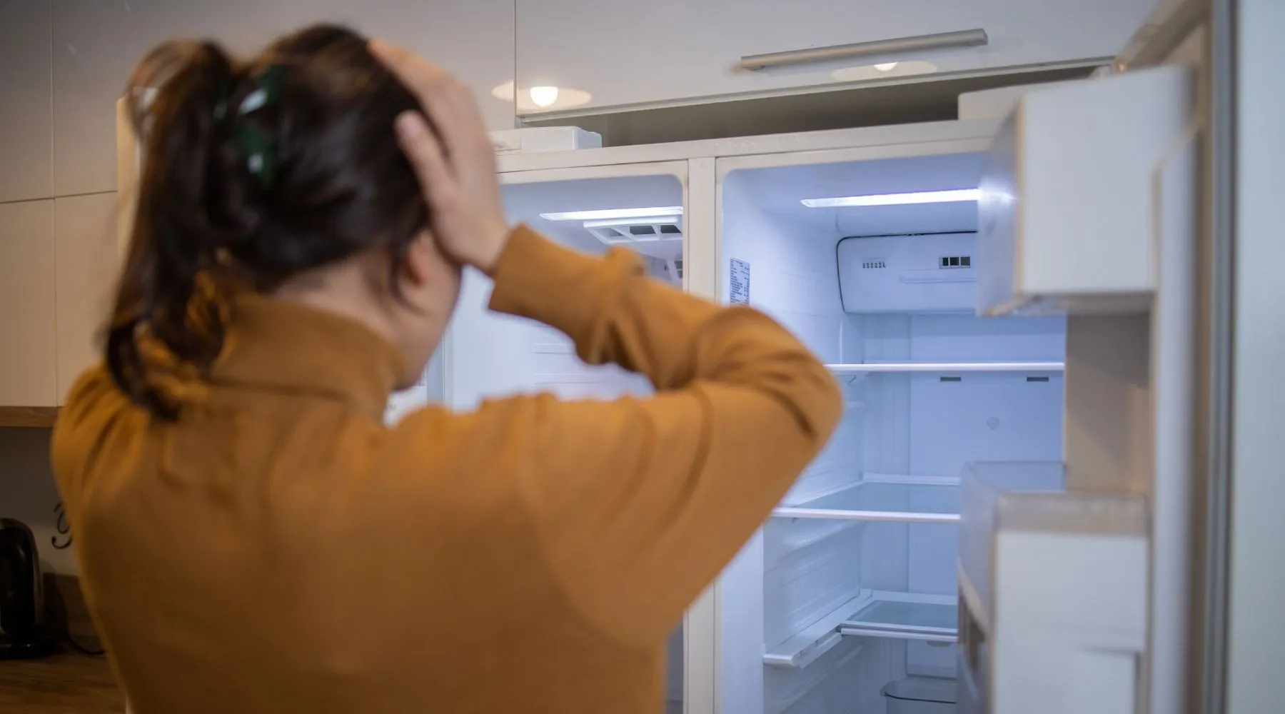 Fridge Repair Dubai
